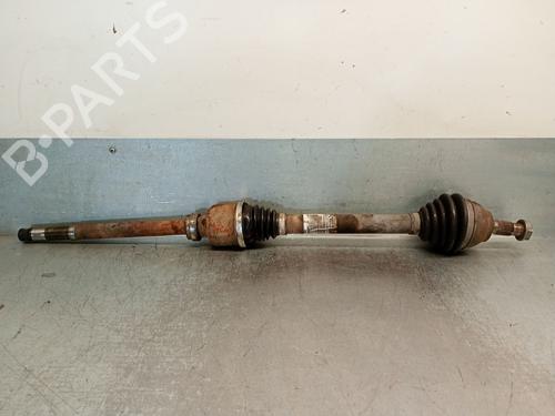 BP31184987M39 main image