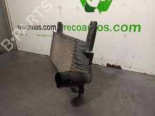 Intercooler NISSAN PATHFINDER III (R51) 2.5 dCi | BP5257438M30 