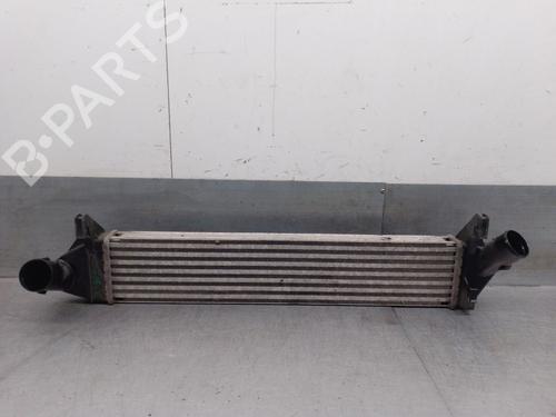 Used Intercooler DACIA LOGAN MCV (KS_) 1.5 dCi (KS0W) (86 hp) 28139125
