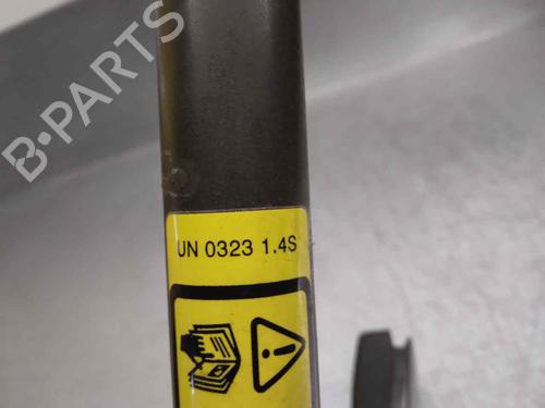 Front left belt tensioner LAND ROVER DISCOVERY II (L318) 2.5 Td5 4x4 | BP12057880C87 