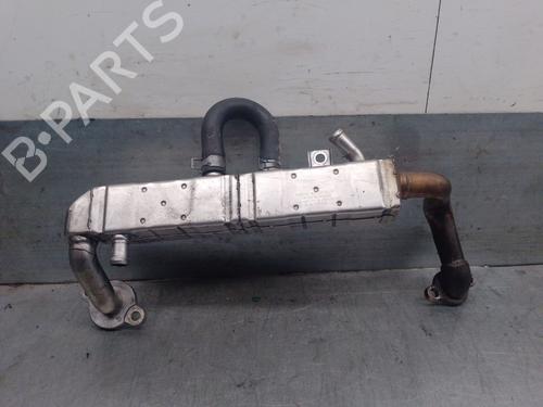 Egr SUBARU LEGACY V (BM) 2.0 D AWD (BMD) | BP21578982M69 