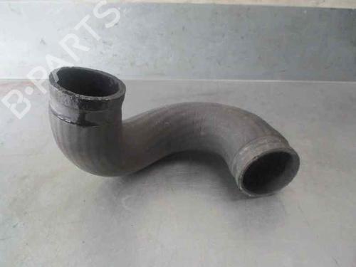 Pipe OPEL SIGNUM Hatchback (Z03) 3.0 V6 CDTI (F48) | BP20254525M125 