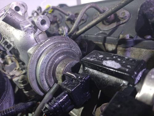 Engine OPEL CORSA C (X01) 1.7 DI (F08, F68) | BP23211507M1 