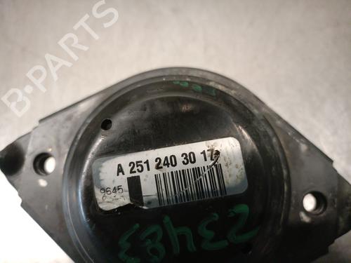 Engine mount MERCEDES-BENZ M-CLASS (W164) ML 450 CDI 4-matic (164.128) | BP29027771M89