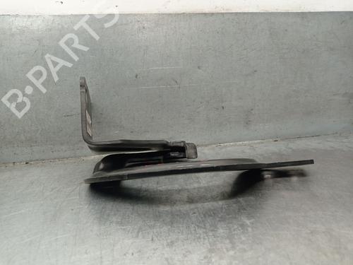 Hinge/Door check strap PEUGEOT 308 I (4A_, 4C_) 1.6 16V | BP21578966C146 