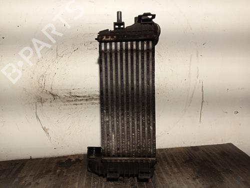 Intercooler FORD TOURNEO CONNECT / GRAND TOURNEO CONNECT V408 MPV  | BP17193209M30 