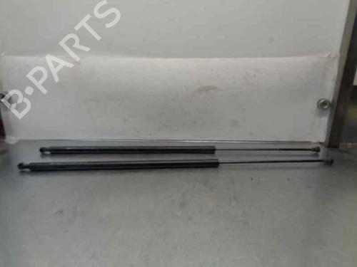 Used Tailgate lift support RENAULT KANGOO / GRAND KANGOO II (KW0/1_) 1.5 dCi 85 (KW0K, KW0L, KW0B) (86 hp) 20255732
