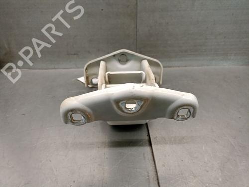 Hinge/Door check strap FIAT TALENTO Van (296_) 1.6 D | BP31775340C146