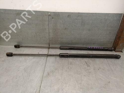 Used Hood lift support AUDI A3 Sportback (8VA, 8VF) 1.0 TFSI (115 hp) 25244292