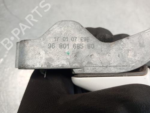 Front right exterior door handle PEUGEOT 207 (WA_, WC_) 1.6 HDi | BP10331689C129 