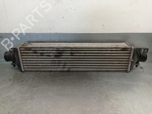 Used Intercooler LANCIA DELTA III (844_) 2.0 D Multijet (844.AXD1A, 844.AXM1A) (165 hp) 27807364