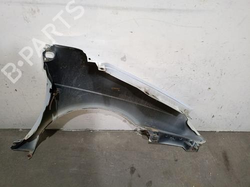Guarda-lamas esquerdo RENAULT SCÉNIC I MPV (JA0/1_, FA0_)  | BP29570219C41 