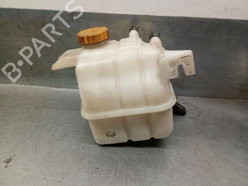 Used Expansion tank CHEVROLET CAPTIVA (C100, C140) 2.0 D 4WD (150 hp) 24553650