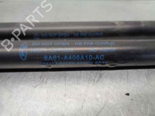 Tailgate lift support FORD FIESTA VI (CB1, CCN)  | BP20257329C138 