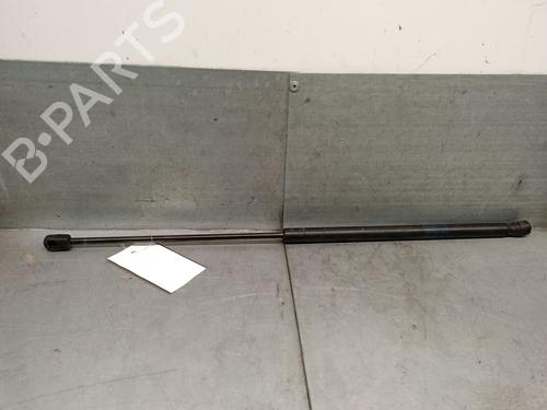 hood-lift-support-porsche-cayenne-9pa-2002-2003-2004-2005-2006-2007-2008-2009-2010-32426542 main image