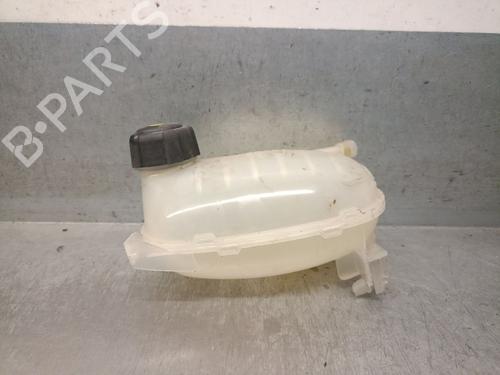 Used Expansion tank DACIA JOGGER (RK_) 1.0 TCe 90 ECO-G (RKMT) (91 hp) 29146405