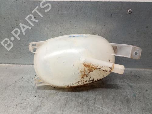 Expansion tank RENAULT EXPRESS Box Body/MPV 1.5 Blue dCi 75 (F6AA) | BP29220628C120