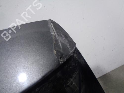 Tailgate VW POLO V (6R1, 6C1) 1.6 TDI | BP11951245C6 