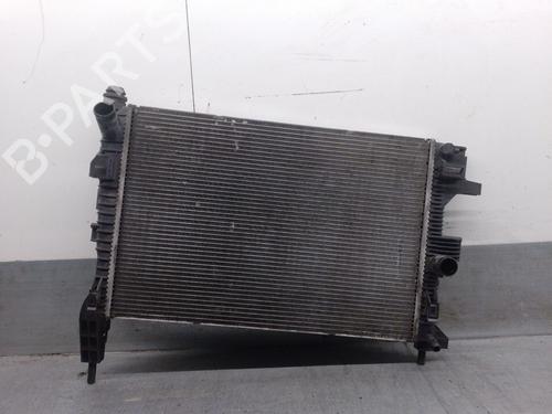 Used Water radiator FORD TRANSIT CONNECT V408 Box Body/MPV 1.6 TDCi (95 hp) 28135143