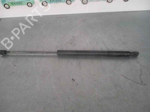 Used Tailgate lift support RENAULT MEGANE II Estate (KM0/1_) 1.5 dCi (KM16, KM1E) (106 hp) 20251478