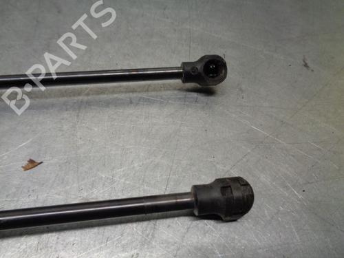 Tailgate lift support DACIA SANDERO II 1.0 TCe 100 (B8ML) | BP21020744C138 