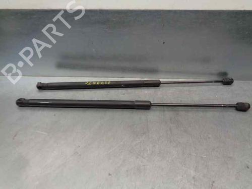 Tailgate lift support OPEL MERIVA A MPV (X03) 1.3 CDTI (E75) 13241975