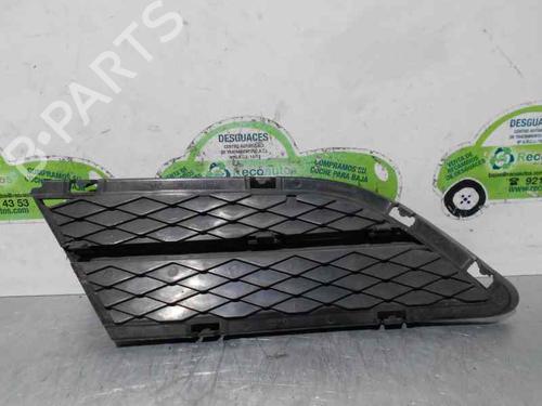 Grille BMW 3 (E90) 320 d | BP2058973C40 