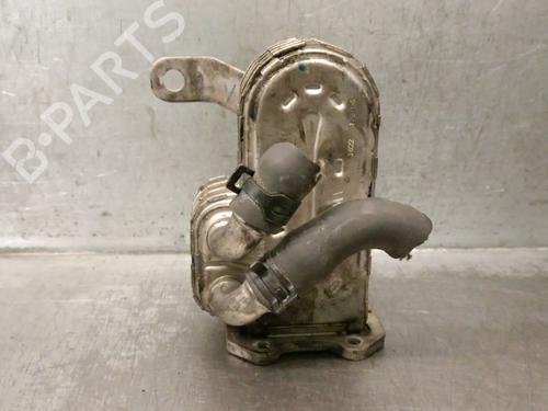 Used Egr Egr 36433647 36433647