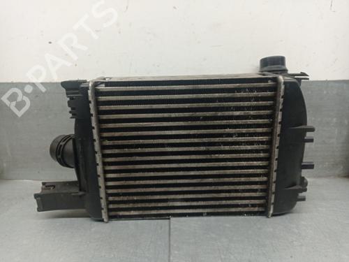 Intercooler DACIA LODGY (JS_) 1.5 dCi | BP30609740M30