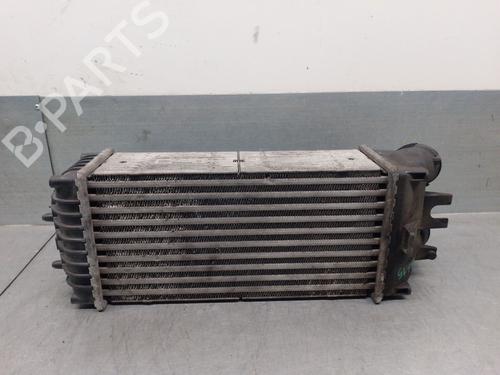 Intercooler CITROËN XSARA PICASSO (N68) 1.6 HDi | BP29325746M30 