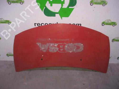 Used Hood RENAULT CLIO III (BR0/1, CR0/1) 1.5 dCi (C/BR0G, C/BR1G) (68 hp) 2138536