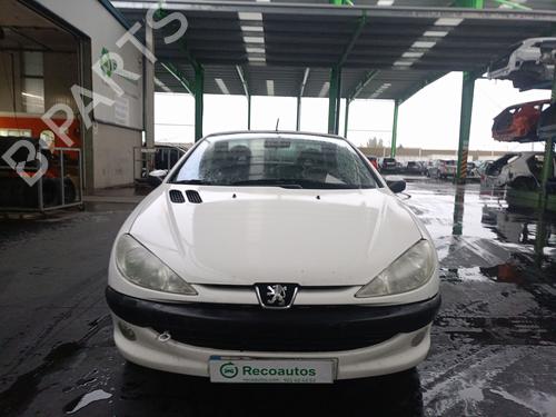 Fuel pump PEUGEOT 206 CC (2D)  | BP30279813M76 