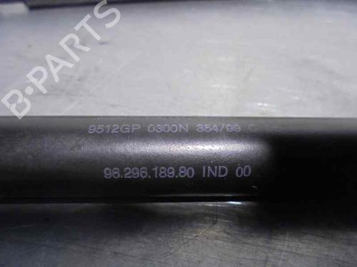 Tailgate lift support CITROËN XSARA Break (N2) 1.9 TD | BP20247609C138 