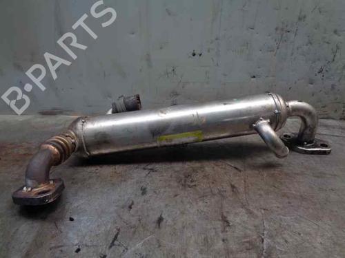 Egr OPEL ASTRA H (A04) 1.7 CDTI (L48) | BP20253933M69 