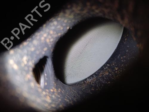 Catalyst KIA RIO III (UB) 1.25 CVVT | BP26605543M10 