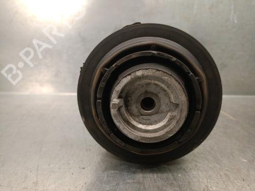 Engine mount MERCEDES-BENZ S-CLASS (W220) S 320 CDI (220.026, 220.126) | BP25235920M89 