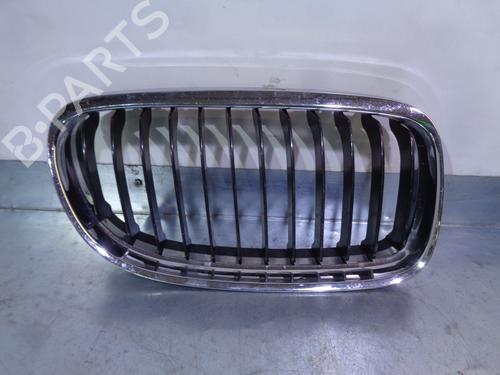 Used Grille BMW 3 (E90) 320 d (177 hp) 13737975