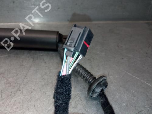 Tailgate lift support VW TOUAREG (CR7, RC8) 3.0 TSI 4motion | BP30104832C138 