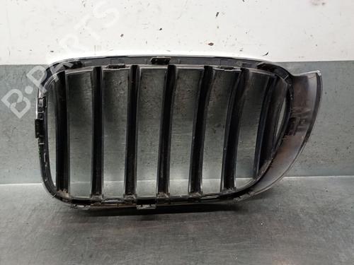 Grille BMW X3 (F25) xDrive 20 d | BP28305168C40 