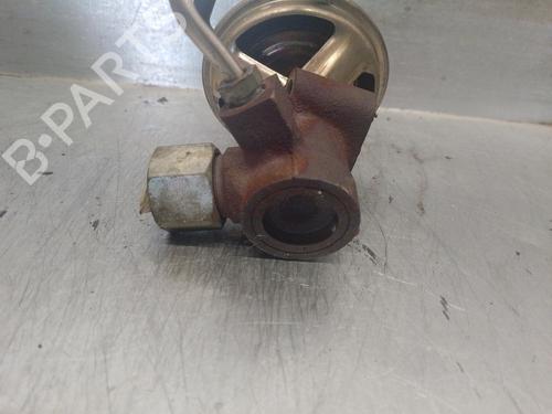 Egr NISSAN PRIMERA (P11)  | BP13629653M69 