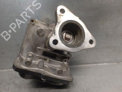 Egr RENAULT KANGOO Express (FW0/1_) 1.5 dCi 75 (FW07, FW10, FW04) | BP29638161M69 