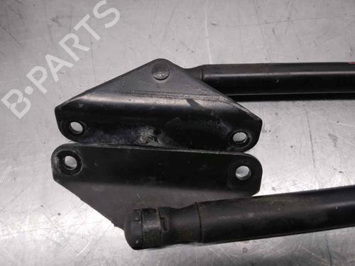 Tailgate lift support MERCEDES-BENZ M-CLASS (W163) ML 400 CDI (163.128) | BP14327213C138 
