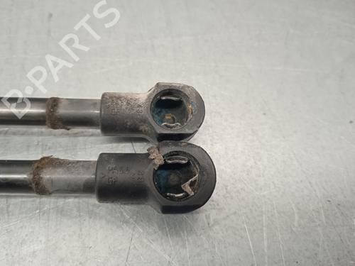 Tailgate lift support BMW 3 (E46) 320 d | BP14327346C138 