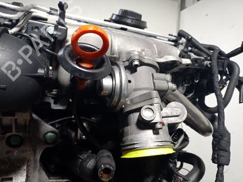Engine VW GOLF V (1K1) 2.0 TDI 16V | BP32113010M1 
