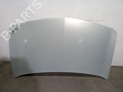 Used Hood RENAULT MEGANE II (BM0/1_, CM0/1_) 1.9 dCi (BM0G, CM0G) (120 hp) 29077353