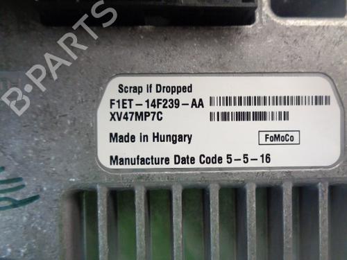 Display monitor FORD FOCUS III 1.5 TDCi | BP10135428C48 