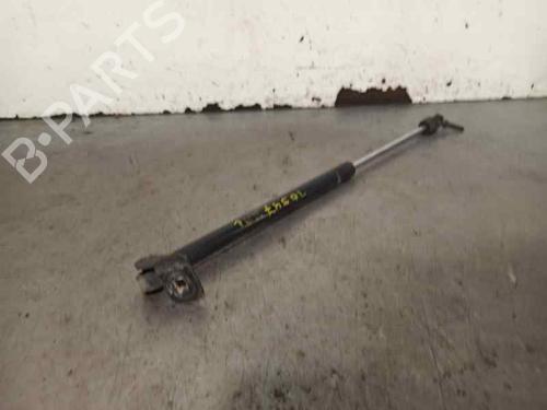 Tailgate lift support JEEP GRAND CHEROKEE II (WJ, WG) 3.1 TD 4x4 | BP20254618C138 