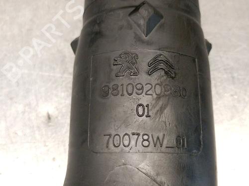 Pipe PEUGEOT 3008 II SUV (MC_, MR_, MJ_, M4_) 1.5 BlueHDi 130 | BP24448723M125 