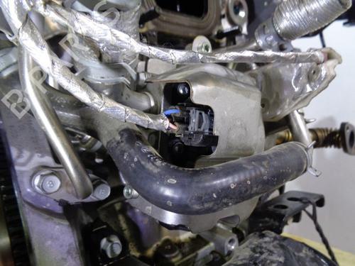 Engine HYUNDAI KONA (OS, OSE, OSI) 1.0 T-GDi Hybrid 48V | BP11938388M1 