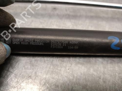Tailgate lift support PEUGEOT 106 II (1A_, 1C_) 1.5 D | BP21790661C138 